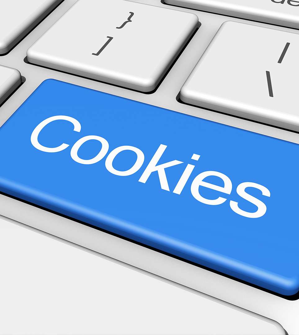 WEBSITE COOKIE POLICY  FOR DAYS INN MILPITAS
