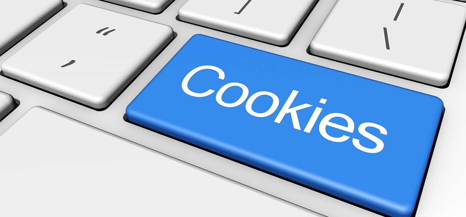 WEBSITE COOKIE POLICY  FOR DAYS INN MILPITAS